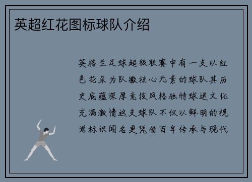英超红花图标球队介绍
