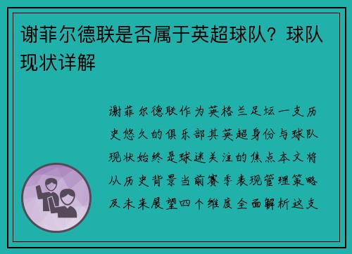谢菲尔德联是否属于英超球队？球队现状详解